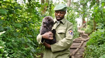 virunga netflix documentaire
