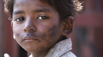 lion film waargebeurd aanrader