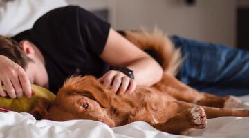 hoelang duurt een goede powernap