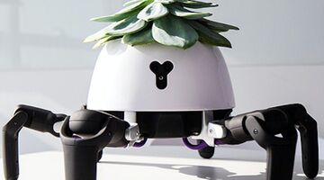plant-robot