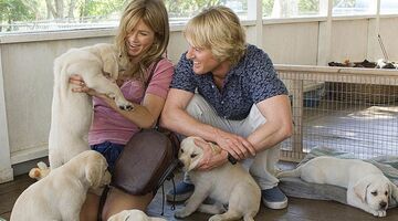 hoeveel kost een hond kat huisdier per jaar
