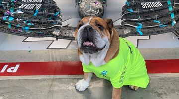 Hond Lewis Hamilton Instagram