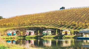 camper vakantie wijngaard