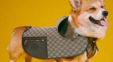 gucci collectie huisdieren