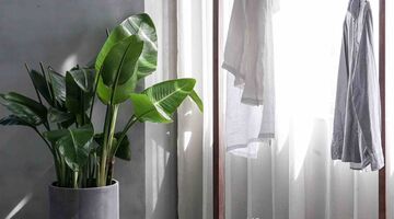 mannelijk interieur gadgets items