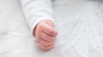 welke maand meeste baby's geboren