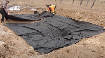 bouwt vijver natuur bloei