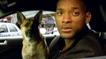 Deel 2 I Am Legend