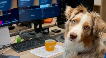 24 juni is het 'neem je hond mee naar je werk'-dag
