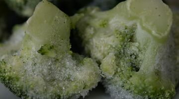 kan je ontdooid voedsel opnieuw invriezen