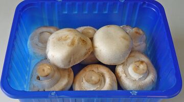 moet je champignons wassen of niet