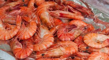 verschil garnalen gamba's scampi's