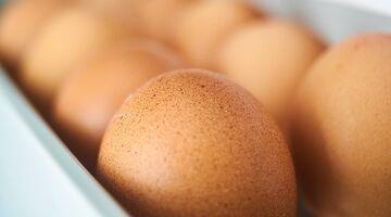 waarom eieren niet in koelkastdeur