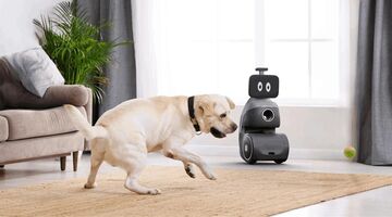 ORo gadget hond