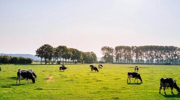 gemiddelde salaris boeren nederland