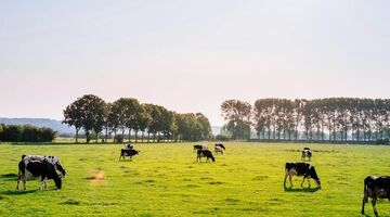 Dorp minste inwoners Nederland