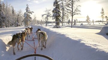 Zweeds Lapland avontuur