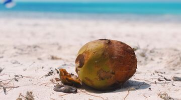 Werkgever vakantie afbreken