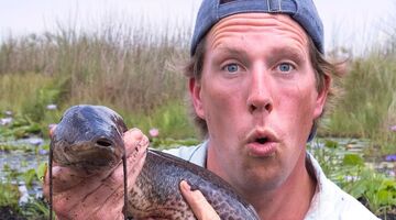 salaris en vermogen van freek vonk