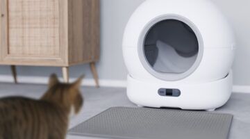 slimme kattenbak