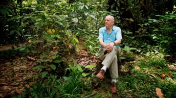 Een man die op een boomstam zit in het bos.