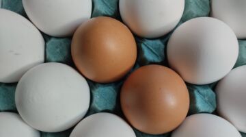 Eieren in een eierdoos
