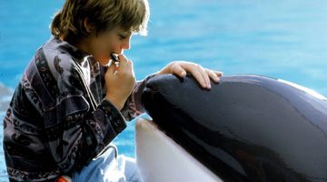 Free Willy