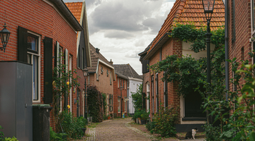 Een straat met huizen en planten.