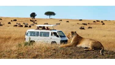 De mooiste roadtrips in Afrika