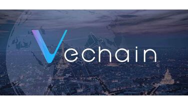 Gaat VeChain een partnership aankondigen met de LVMH-group?