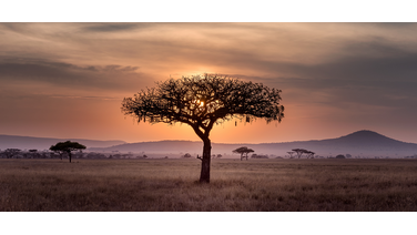 Dit is de ultieme reisroute door Zuid-Afrika