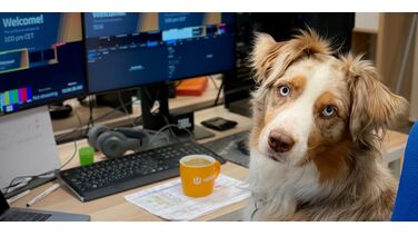 24 juni is het ‘neem je hond mee naar je werk’-dag