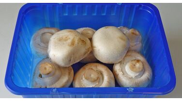 Moet je champignons nou wel of niet wassen voordat je ze gebruikt?