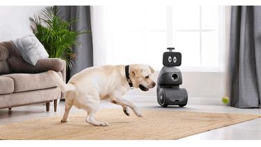 Deze honden-oppasrobot gooit ballen, geeft eten en heeft nog veel meer premiumfeatures