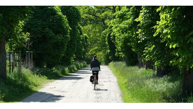 Fietsroute van het jaar 2024: dit is de winnaar!