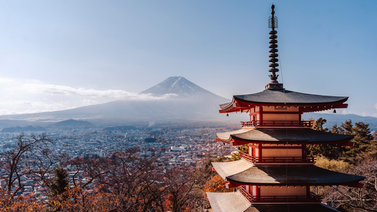 Een Japanse toren met de Mount Fuji op de achtergrond.