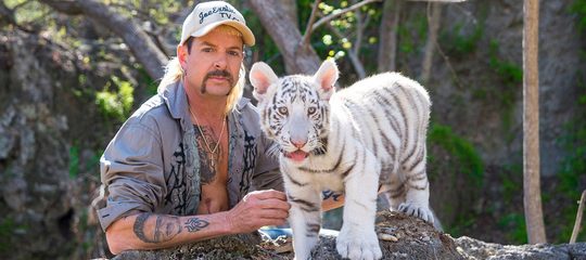 Tiger King