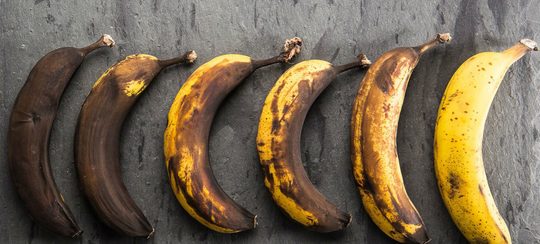 Illustratie voor: Waarom je penis een andere kleur heeft dan de rest van je lichaam