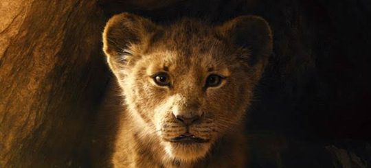 The Lion King MAN MAN