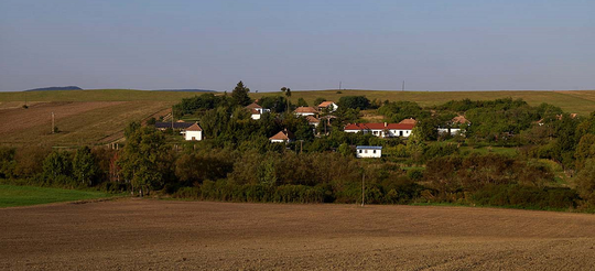 festival in hongarije MAN MAN