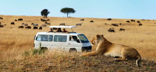 roadtrip-afrika-krugerpark-manman