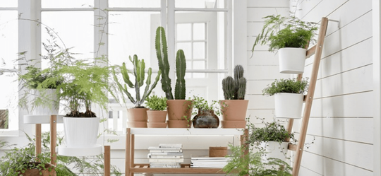 interieur trend 2020