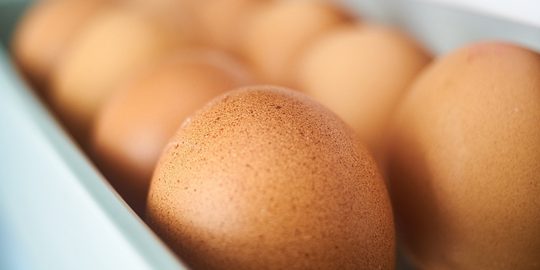waarom eieren niet in koelkastdeur