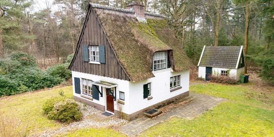 Illustratie voor: Dé perfecte opknapper op Funda: huis in het bos te koop voor slechts € 160.000,-