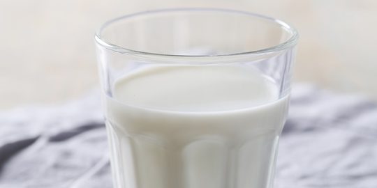 melk proteïne shake