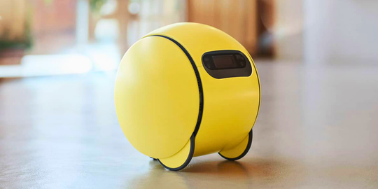 Illustratie voor: ‘Ballie’: Samsung zal nieuw apparaatje gaan verkopen in 2025
