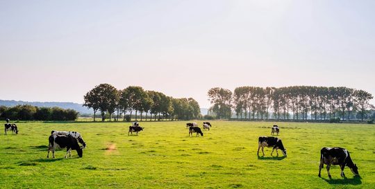 gemiddelde salaris boeren nederland