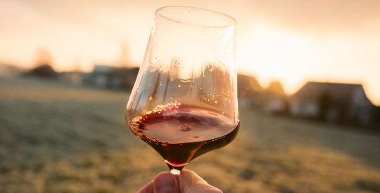 lekkere alcoholvrije wijnen