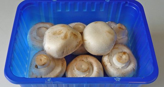 moet je champignons wassen of niet