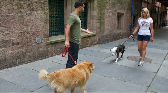 Illustratie voor: Vrouwen versieren met honden, werkt dit?